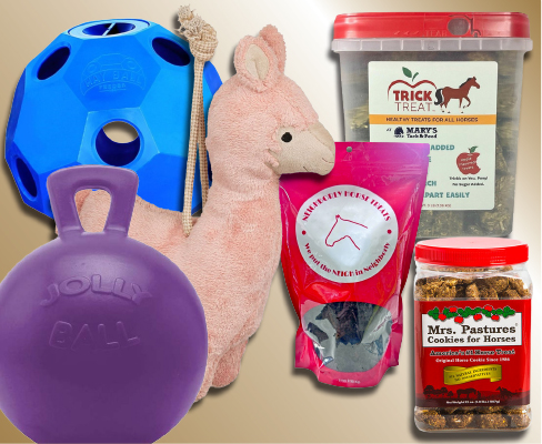 Best Horse Toys Best Horse Treats